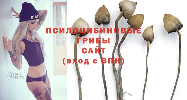 2c-b Краснотурьинск