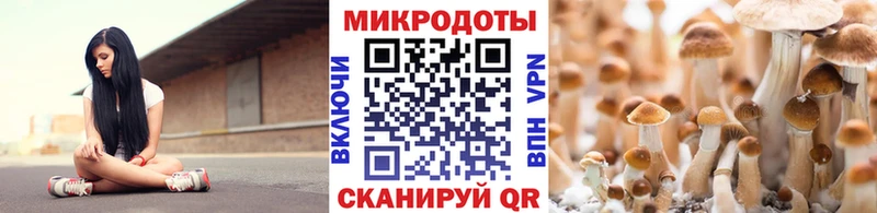 Псилоцибиновые грибы прущие грибы  Кировград 